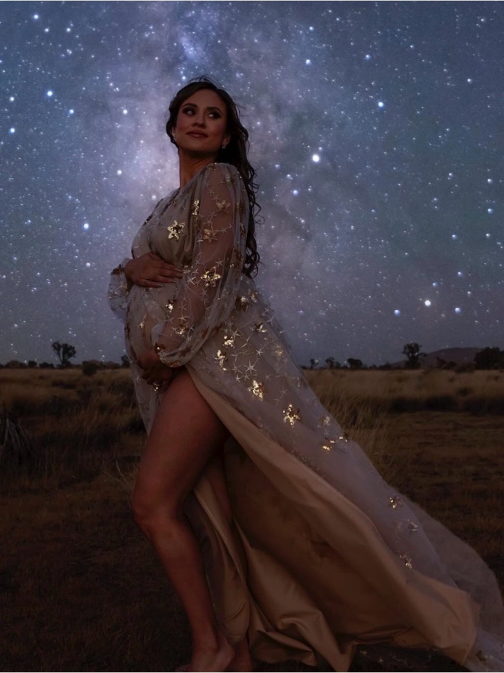 Sheer Embroidered Maternity Gown in Champagne